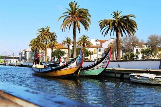 Rota Ria Alojamento Local Aveiro Buitenkant foto