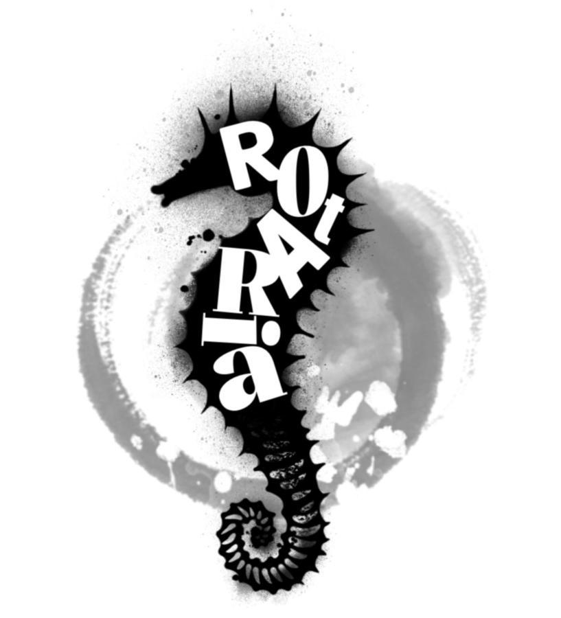 Rota Ria Alojamento Local Aveiro Buitenkant foto